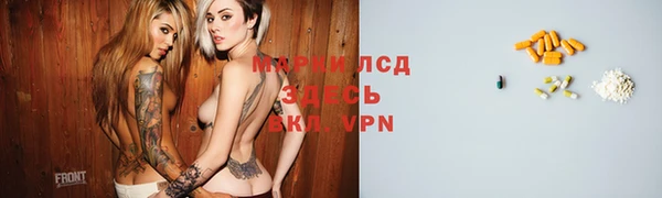 spice Арсеньев
