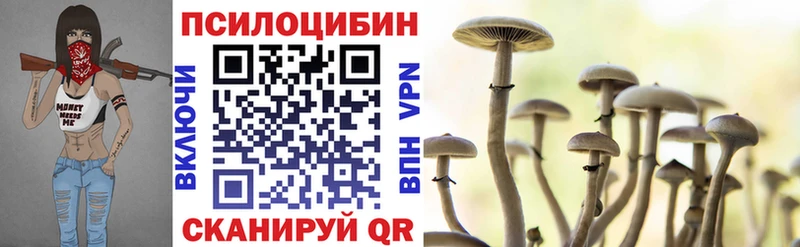 Галлюциногенные грибы мицелий  KRAKEN вход  Светлоград 