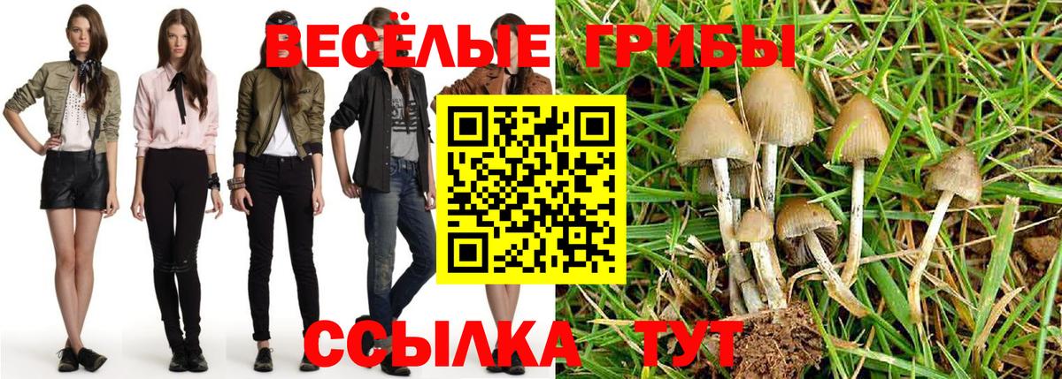 Галлюциногенные грибы мухоморы  Вход с VPN  Светлоград  где купить   Галлюциногенные грибы MAGIC MUSHROOMS 